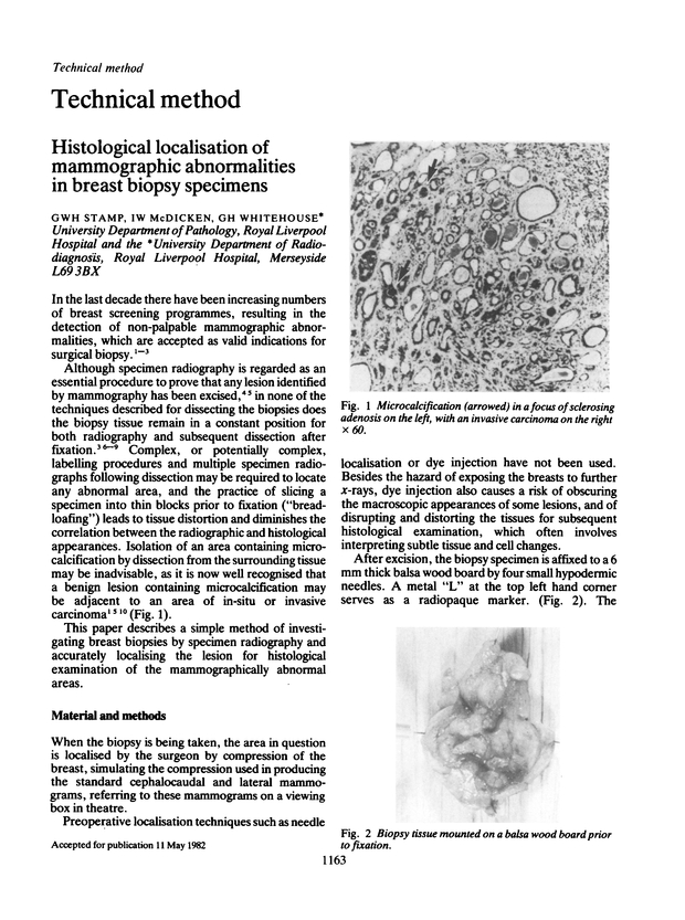 PDF extract preview