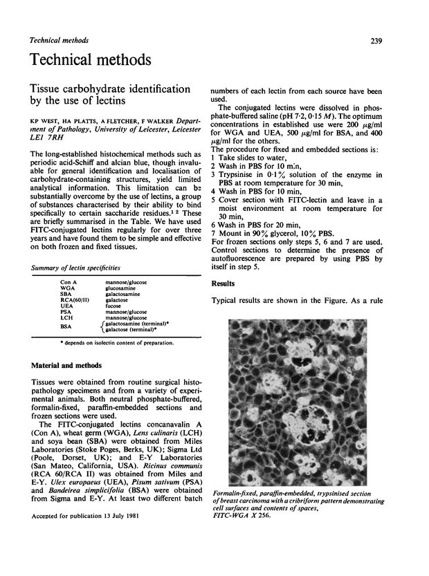 PDF extract preview