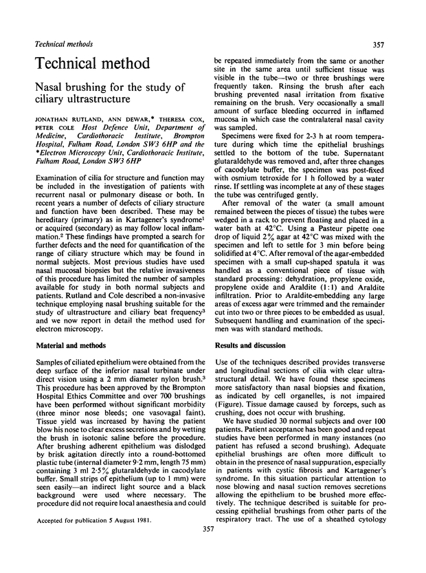 PDF extract preview