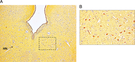 Figure 3
