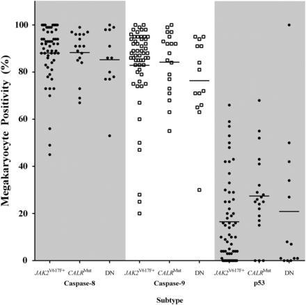 Figure 5